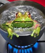 Frog_Boiling